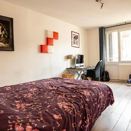 Apartment Beautiful Near Buttes Chaumont